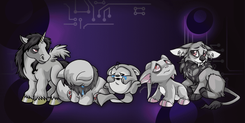 https://cdn9.neopets.com/headless-cms/thumbnail_NC_Style_Aug_Grey_1_1e7c5f9df0.png